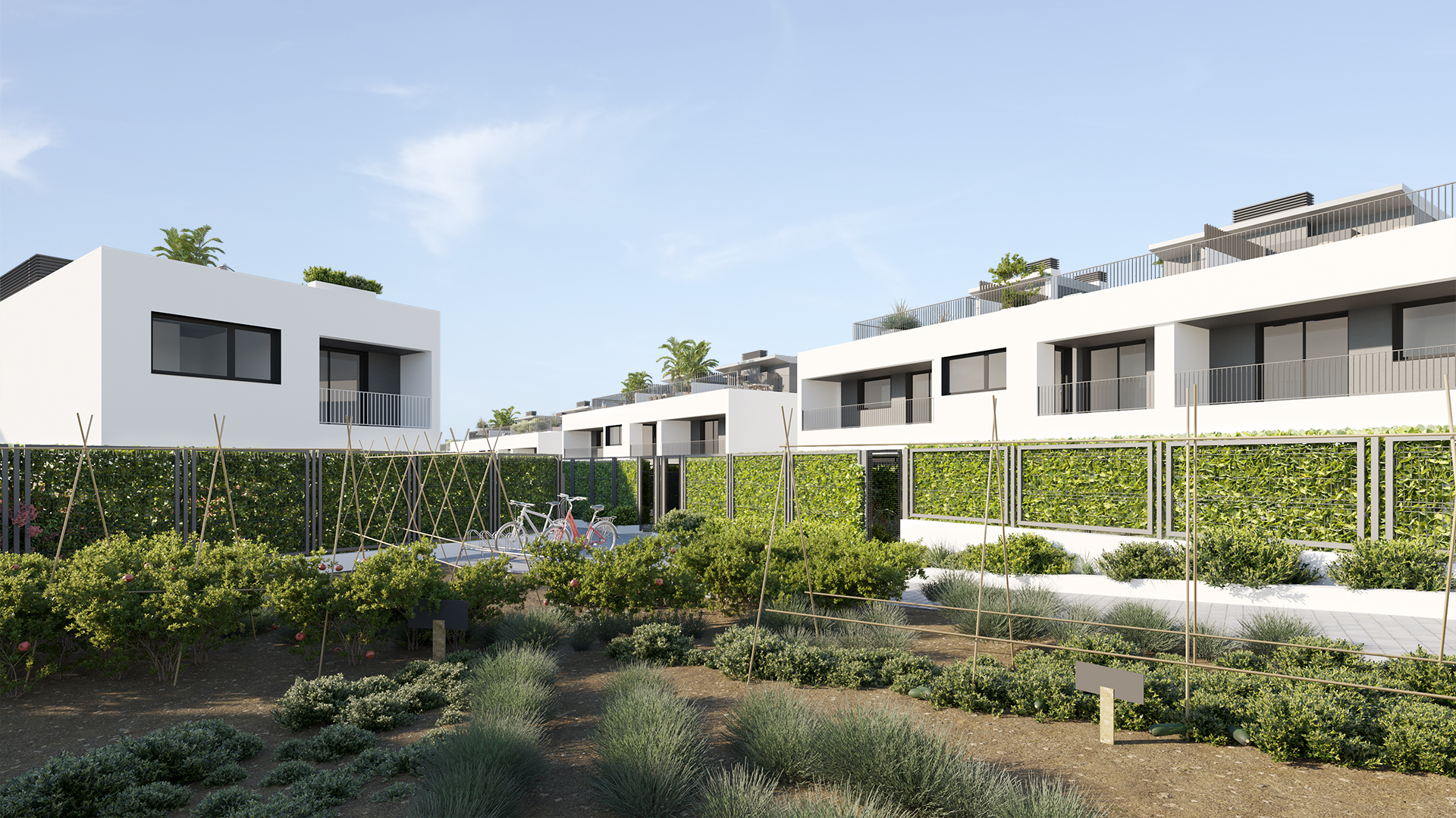 Aedas_zimara_huerto_web