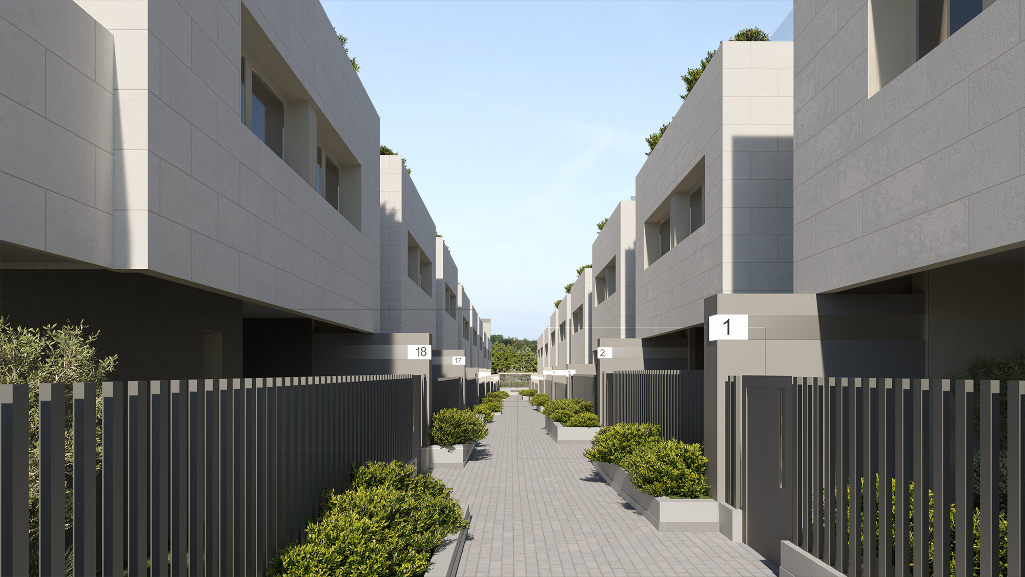 Maranta_Pasilloviviendas_web